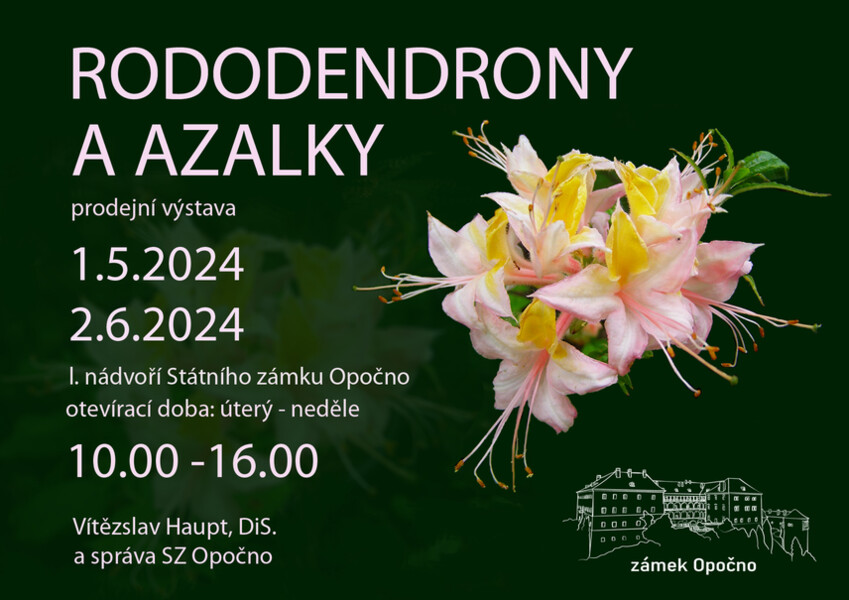 Plakát - Rododendrony a azalky Plakát - Rododendrony a azalky
